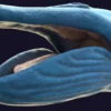 Blue Whale 3D Model Static For Blender 4.0 3D Model whale3ds.com