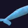 Blue Whale 3D Model Static For Blender 4.0 3D Model whale3ds.com