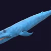 Blue Whale 3D Model Static For Blender 4.0 3D Model whale3ds.com