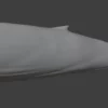 Blue Whale 3D Model Static For Blender 4.0 3D Model whale3ds.com