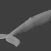 Blue Whale 3D Model Static For Blender 4.0 3D Model whale3ds.com