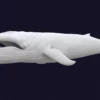 Blue Whale 3D Model Static For Blender 4.0 3D Model whale3ds.com