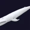 Blue Whale 3D Model Static For Blender 4.0 3D Model whale3ds.com