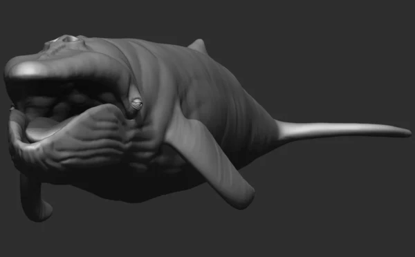 Blue Whale 3D Model Sculpt 01 No Pose 3D Model whale3ds.com