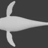 Humpback Whale 3D Model Free Download 3D Model whale3ds.com