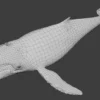 Humpback Whale 3D Model Free Download 3D Model whale3ds.com