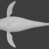 Humpback Whale 3D Model Free Download 3D Model whale3ds.com