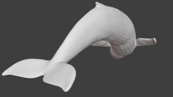 Rigged Blue Whale 3D Model Realistic 3D Model whale3ds.com