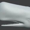 Sperm Whale 3D Model 01 Free Download 3D Model whale3ds.com