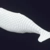 Sperm Whale 3D Model 01 Free Download 3D Model whale3ds.com