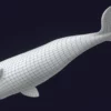 Sperm Whale 3D Model 01 Free Download 3D Model whale3ds.com